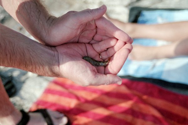 20020803_0011.jpg - click for next picture