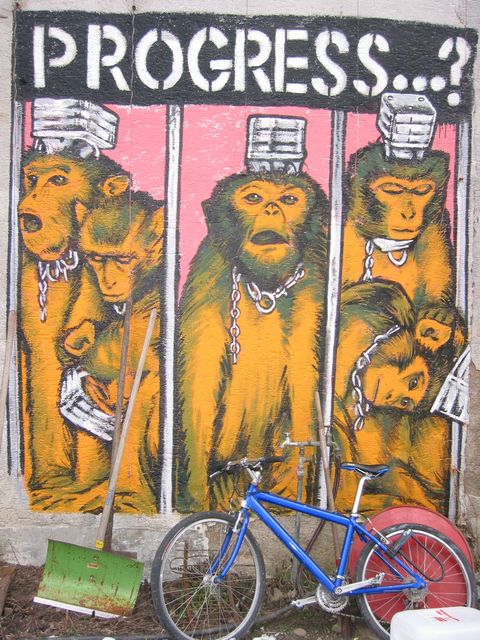 20040226_0005.jpg - click for next picture