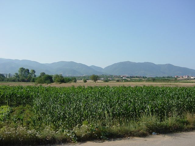 20040706_0021.jpg - click for next picture