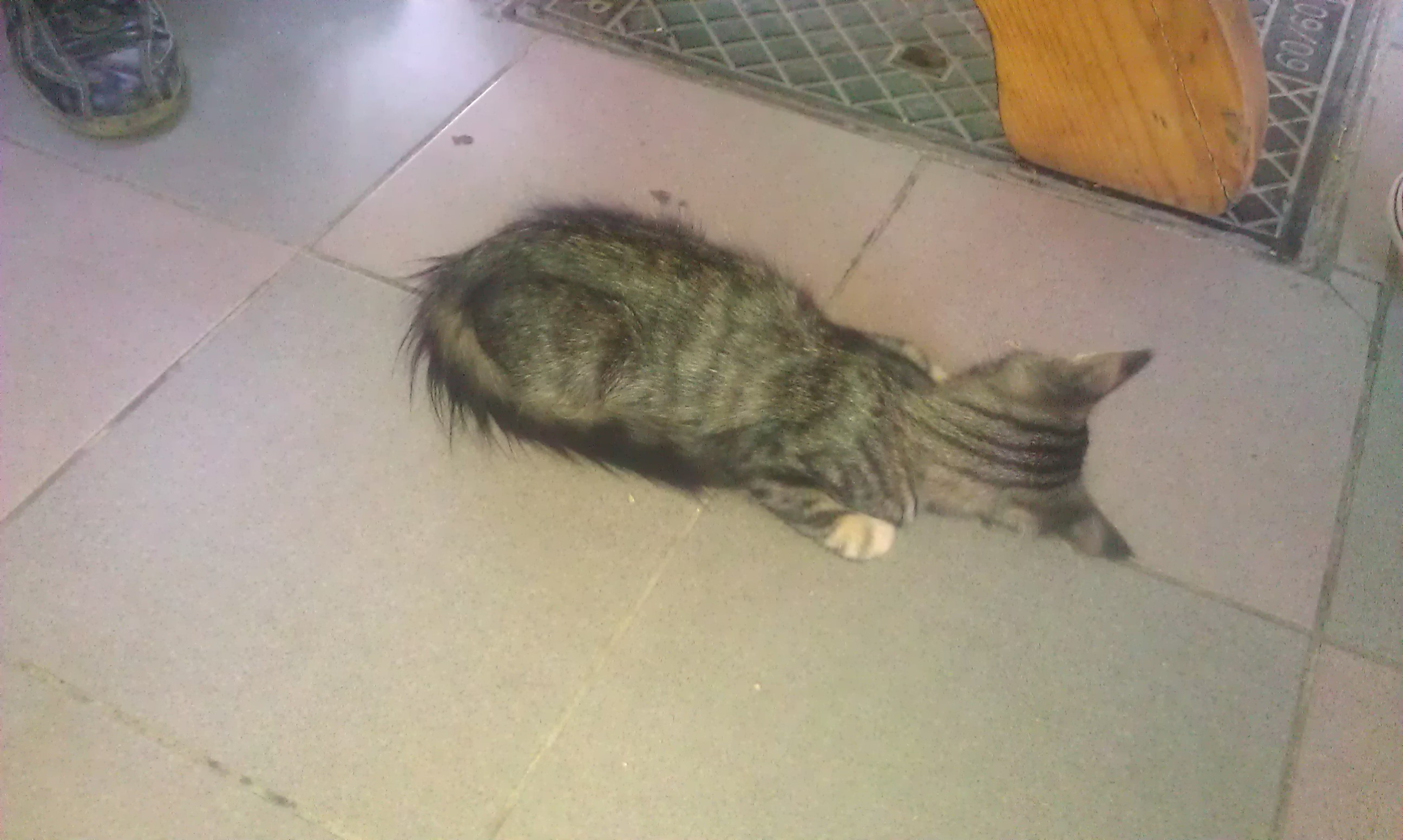 20120802_0007.jpg - click for next picture