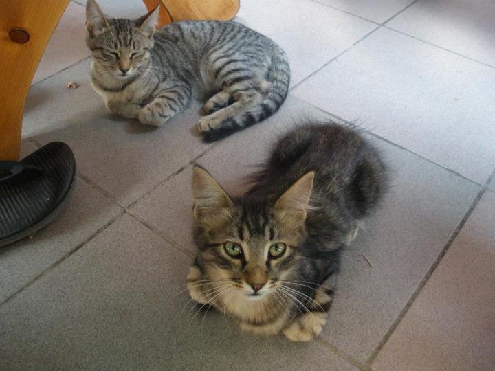 20120802_0072.jpg - click for next picture